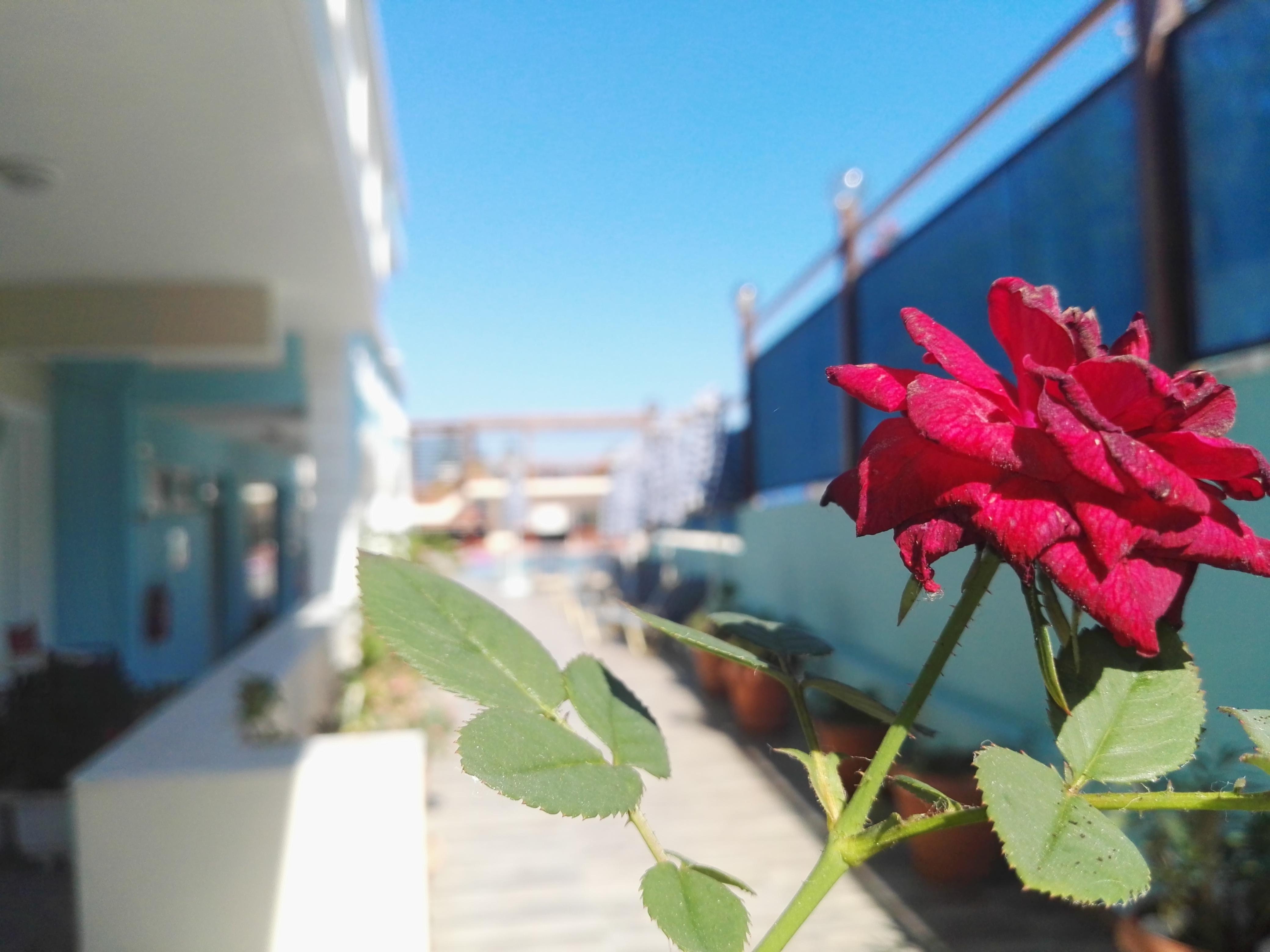 Epis Hotel Agia Marina  Exterior photo